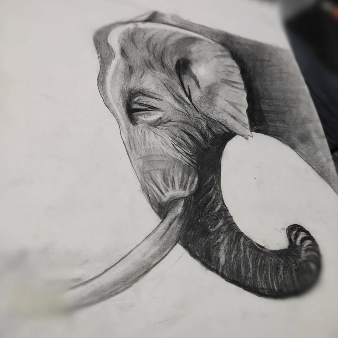 Artwork 6